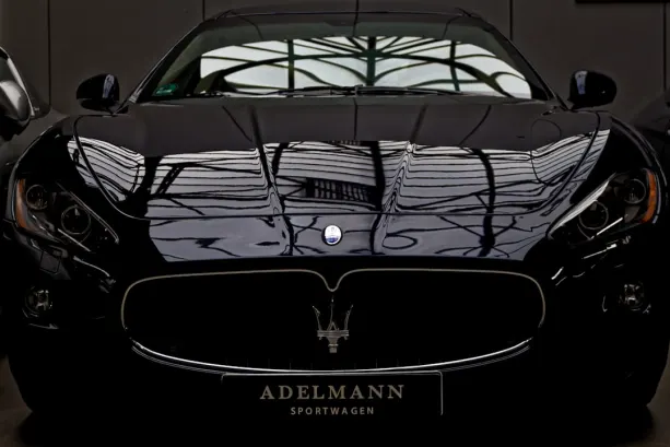 BingoFling Casino Aip Android/iOS